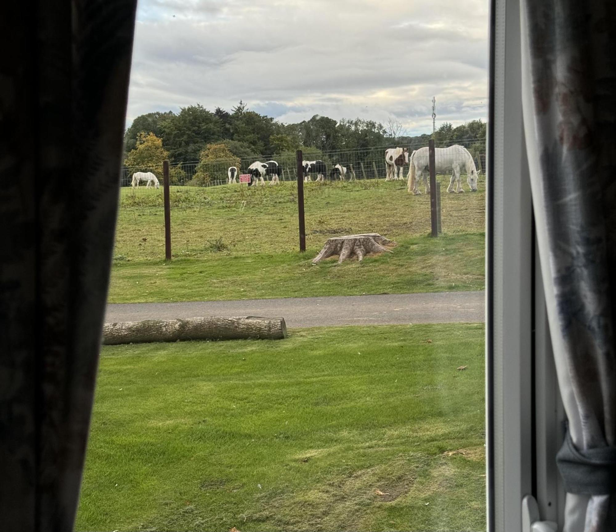 Pony Gate Caravan On Haggerstone Castle West Lawn Berwick Upon Tweed Zewnętrze zdjęcie